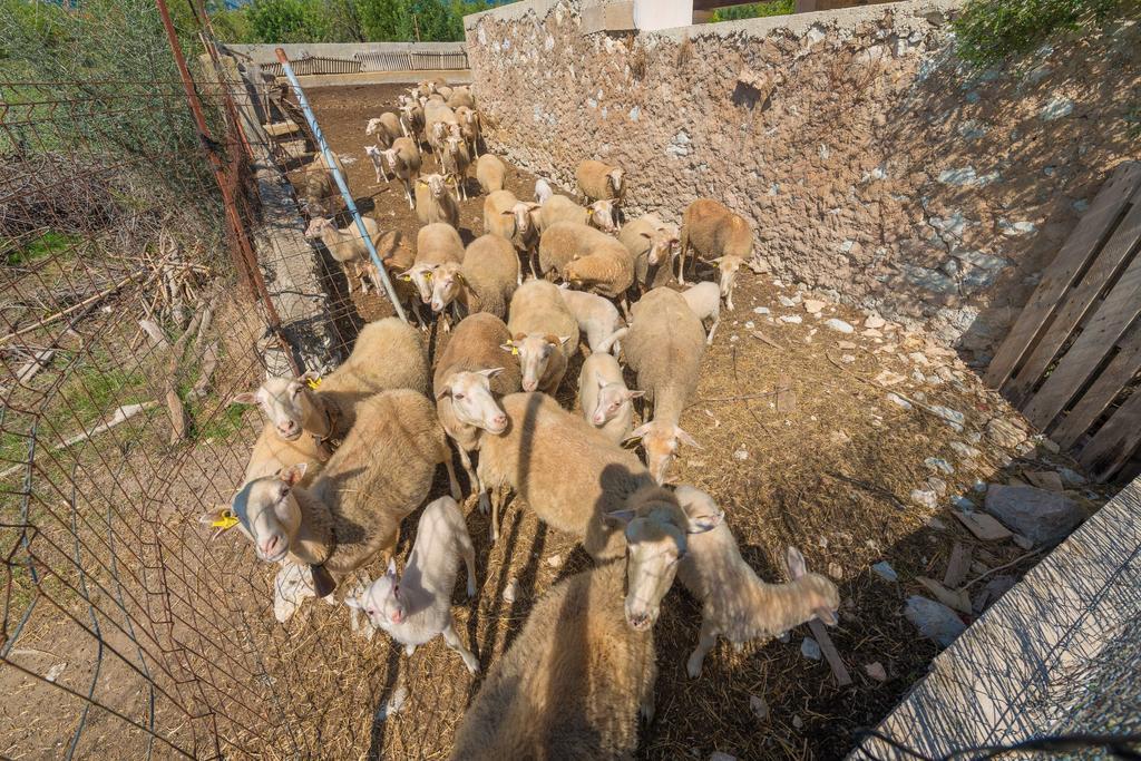 Granja Villa Inca  Eksteriør bilde